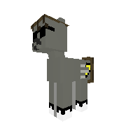 skydoesponycraft