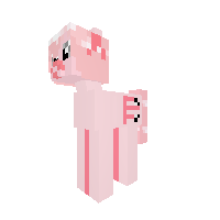 New Pony