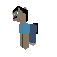 Steve as a pony