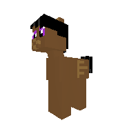 New Pony