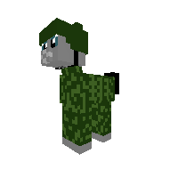 Pony  Russian solger