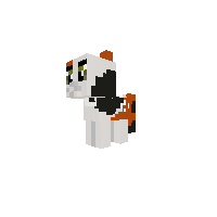 CatPony