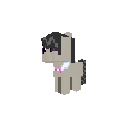 Filly Octavia