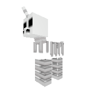 Skeleton