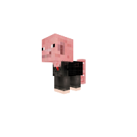 mr.  oink