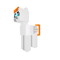New Pony