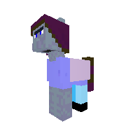 pony vileger