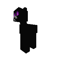 Enderpony