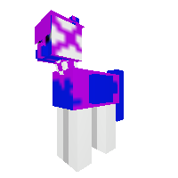 New Pony