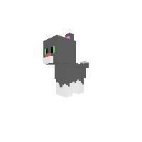 This is my cat kiwi!!