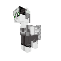 Proffeser Stein Pony