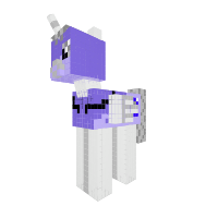 New Pony