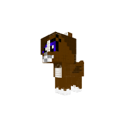 New Dog