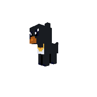 penguin