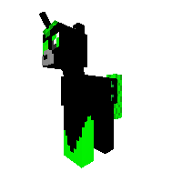Ender Pony