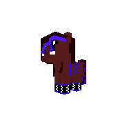 New Pony