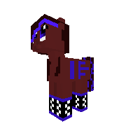 New Pony