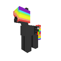 Rainbow Night