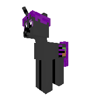 New Pony
