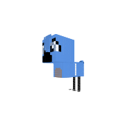 Blue Jay