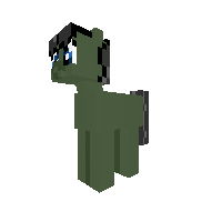 villager_pony