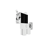 New Pony