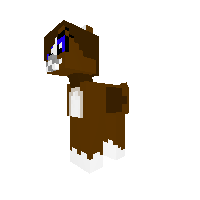 New dog