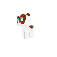 dog russel