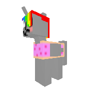 Nyan Cat Pony