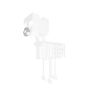 Skeleton