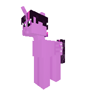 New Pony