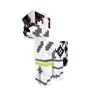 New Pony