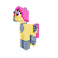 New Pony