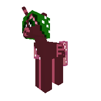 New Pony