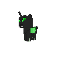 Chryto Filly