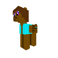 Steve as A Pony