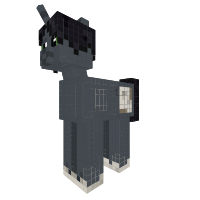 New Pony