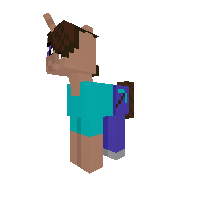 Steve (new)