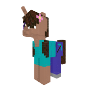 pony 4