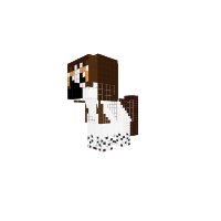 beagle (male)
