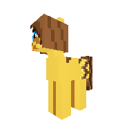 PP (pika pony)