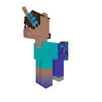 Steve rainbow pover