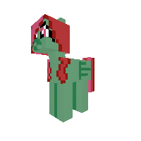Water Melon Wedge