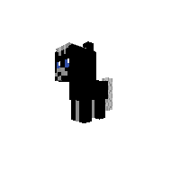 Darky