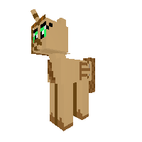 New Pony