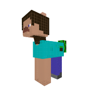 Steve