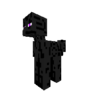 Enderman Pony