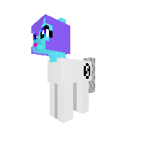 New Pony