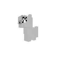 Cat blank