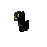 blackkit